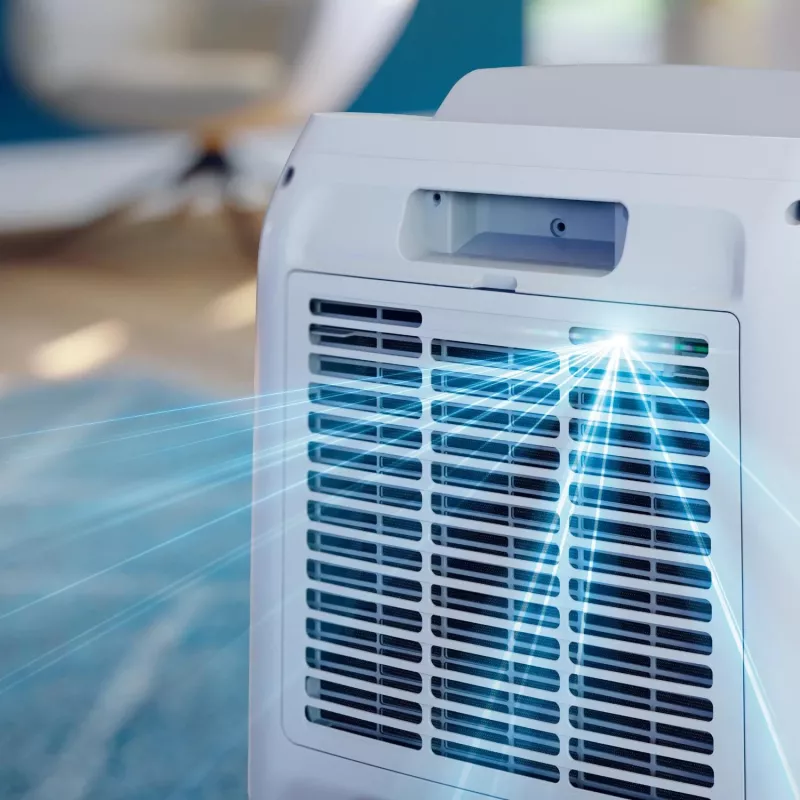 Philips 3000 seeria DE3306/11 õhukuivati 4 L 51 dB valge, helehall
