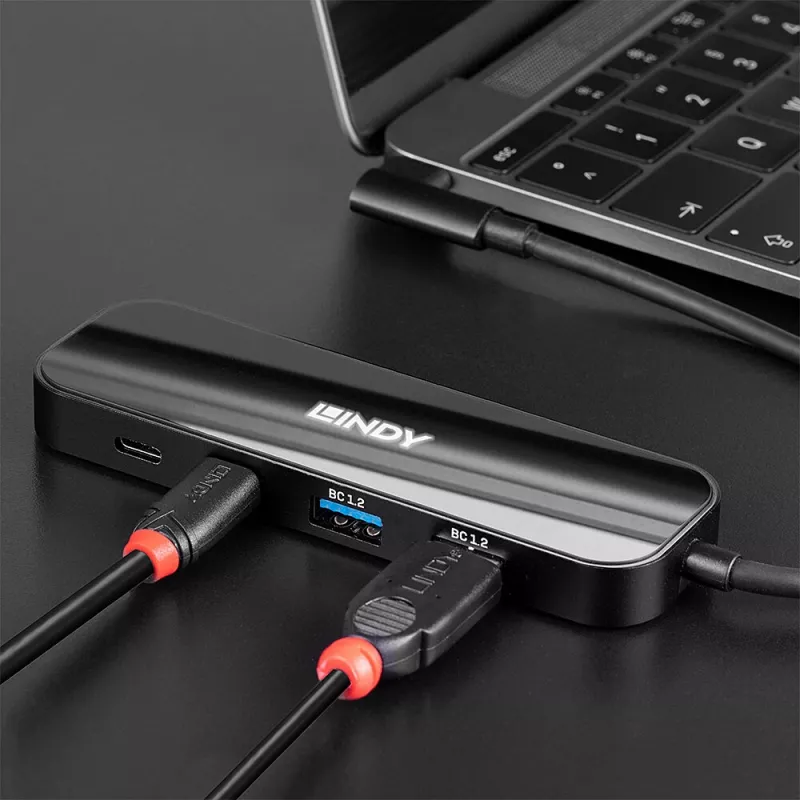 Lindy 43334 USB 3.2 Gen 1 Type-C jaotur, 4 porti