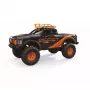 Roomik Amewi Dirt Climbing Beast