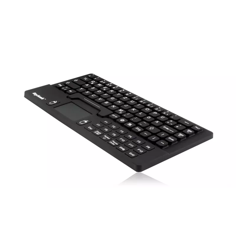 KeySonic KSK-5031IN (DE) klaviatuur Universalne USB QWERTZ Saksa Must