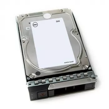 DELL 161-BCJX sisemine kõvaketas 12 TB 7200 p/min 3,5-tolline NL-SAS
