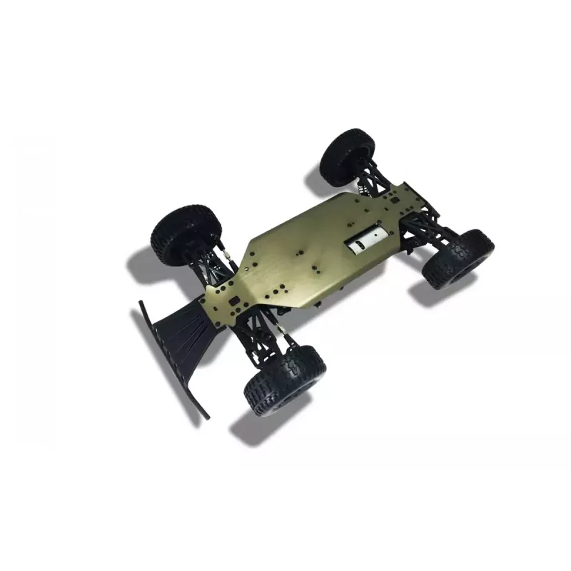 Off-road auto Amewi Dune raadio teel juhitav mudel 1:10