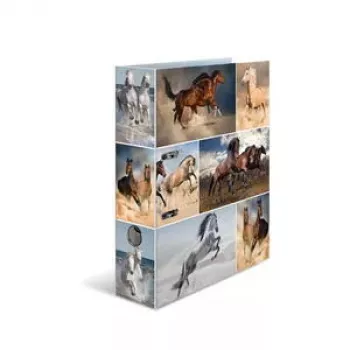 Ring binder A4 HERMA 7164