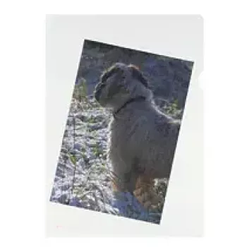 Lehekaitse Herlitz 10843746 A4