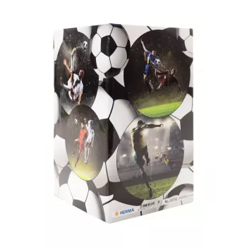 Pliiatsi/pliiatsihoidja HERMA Stifteköcher Fussball 19732