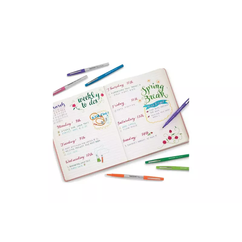 Viltpliiats Medium Papermate Flair Mitmevärviline 16 tk