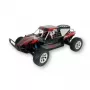 Buggy Amewi Breaker raadio teel juhitav RC mudel 1:10