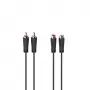 Hama 00205095 helikaabel 5 m 2 x RCA Must