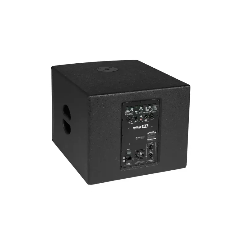 Aktiivne bassikõlar Omnitronic 11039050 Must 500 W