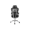 Ergonomic office chair EQUIP 651053 with headrest and armrests, mesh back, padded seat, adjustable height 117–135 cm, width 660 mm, Must