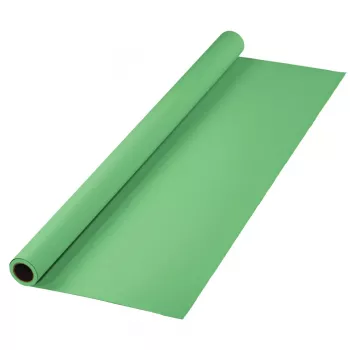 Taustekraan Hama 00021534 roheline 11000 mm x 2750 mm