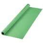 Taustekraan Hama 00021534 roheline 11000 mm x 2750 mm