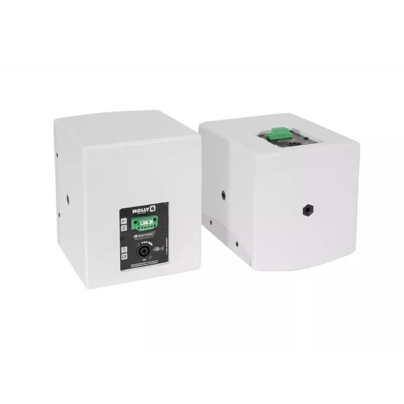 Täisulatuskõlar Omnitronic MOLLY-6 valge juhtmega 130 W