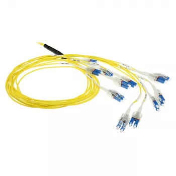 ACT 50 meetrit Singlemode 9/125 OS2 eeltermineritud fiiberoptiline kaabel 24F LC Polaarsus Twist