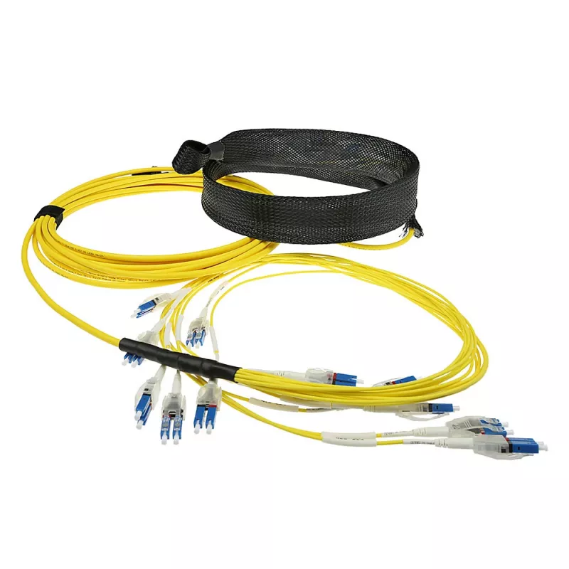 ACT 50 meetrit Singlemode 9/125 OS2 eeltermineritud fiiberoptiline kaabel 24F LC Polaarsus Twist