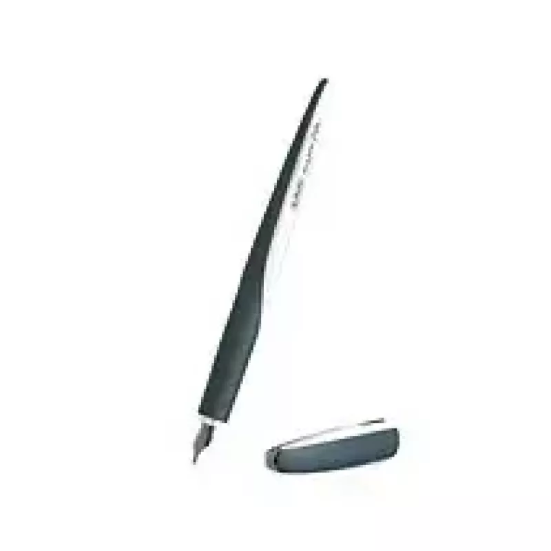 Kalligraafiapliiats Herlitz 11360286