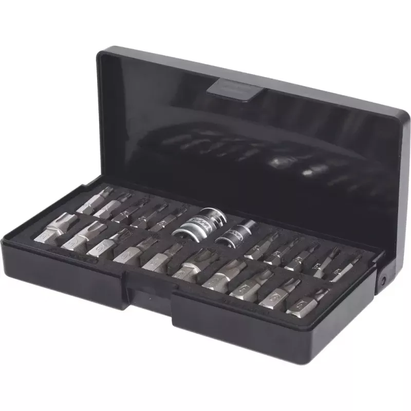 Padrunikomplekt KS Tools 911.3120 — 22 teraspadrunit, 432 g