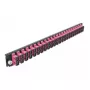 Splice Box Front Panel DeLOCK 19 inch 24 port SC Duplex violet
