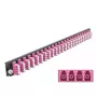 Splice Box Front Panel DeLOCK 19 inch 24 port LC Quad violet