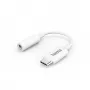 Hama 00201524 helikaabel USB C – 3,5 mm, valge
