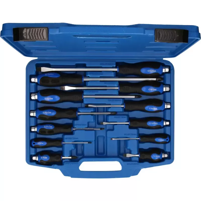 Käsikruvikeerajate komplekt Brilliant Tools BT034012