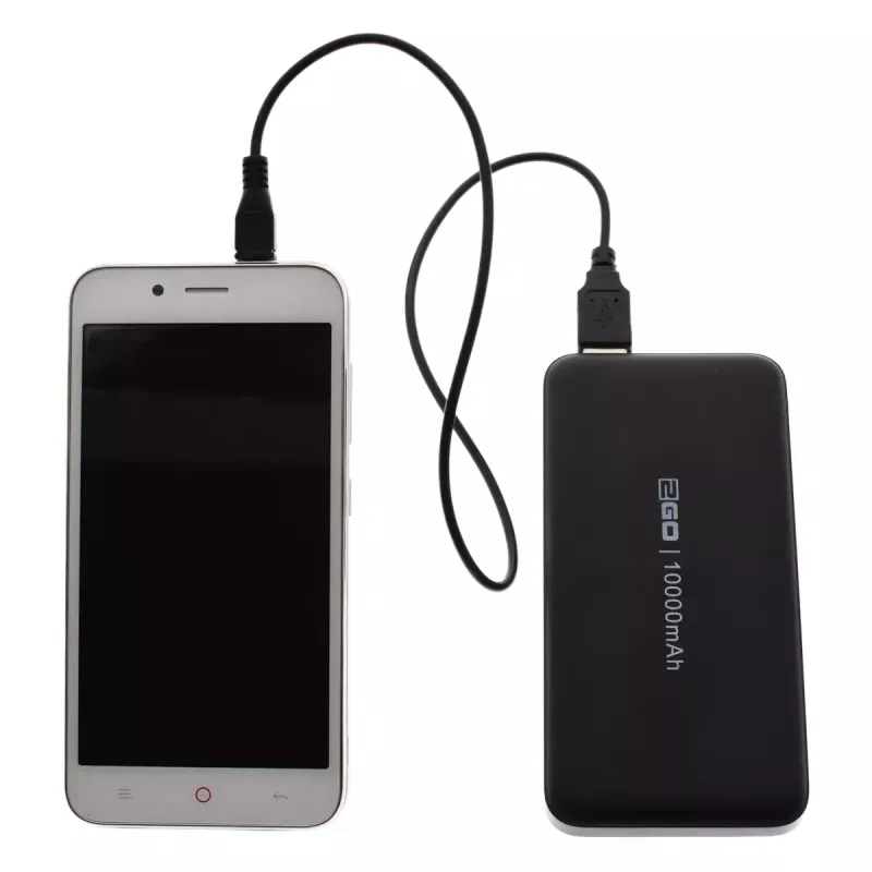 Akupank 2GO 795944, 10000 mAh