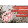 Unold Neck Fan Breezy Pink
