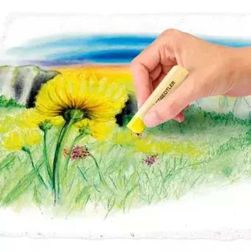 Kuivpastell Soft Staedtler 2430 Mitmevärviline 24 tk