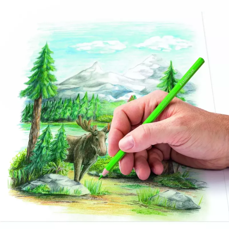 Värvipliiatsid Staedtler 146C Mitmevärviline 24 tk