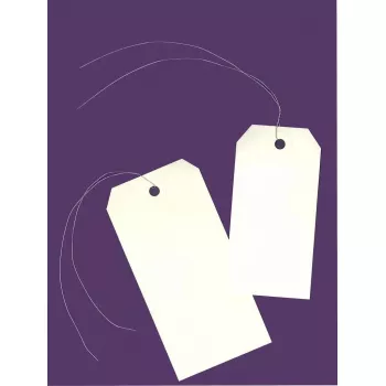 Avery 75-400 isekleepuva katteta silt 1000 tk Kreemjas ristkülik 160 g/m²