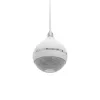 2-suunaline valjuhääldi Omnitronic 80710421 valge juhtmega 10 W