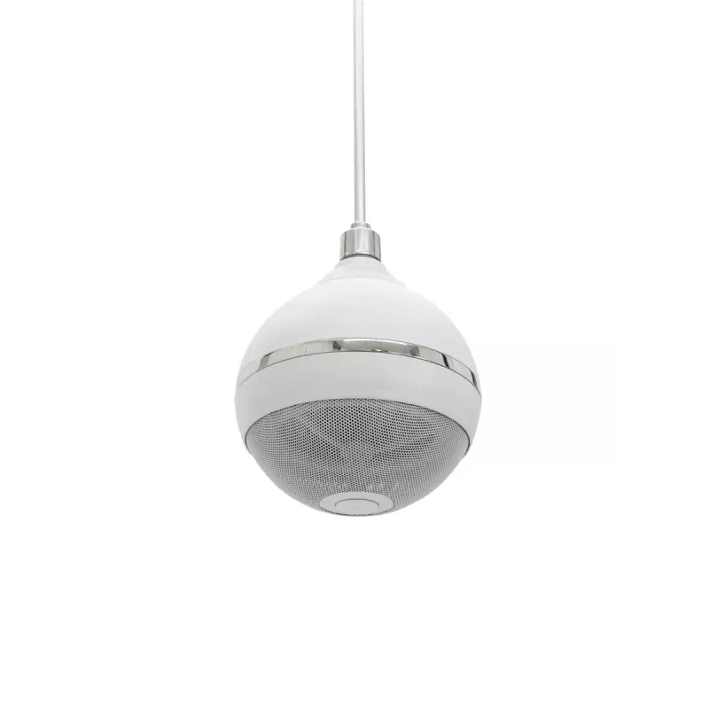 2-suunaline valjuhääldi Omnitronic 80710421 valge juhtmega 10 W
