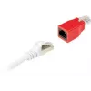 Connector RJ-45 Schwaiger CKR01 531 punane