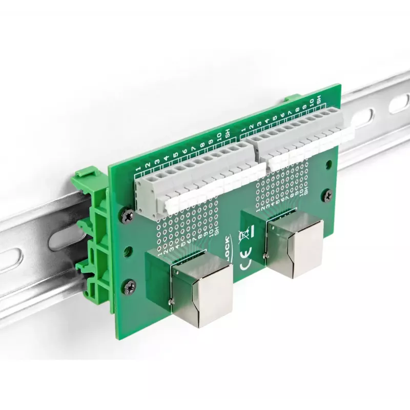 DeLOCK RJ50 2 × emane kuni 2 × klemmliist surunupuga DIN-liistule