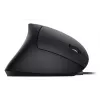 Equip 245118 hiir Universaalne Paremakäeline USB Type-A Optiline 3200 DPI
