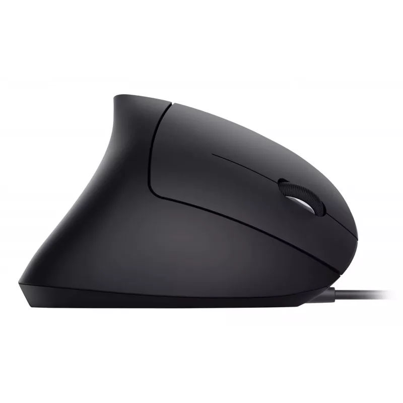 Equip 245118 hiir Universaalne Paremakäeline USB Type-A Optiline 3200 DPI