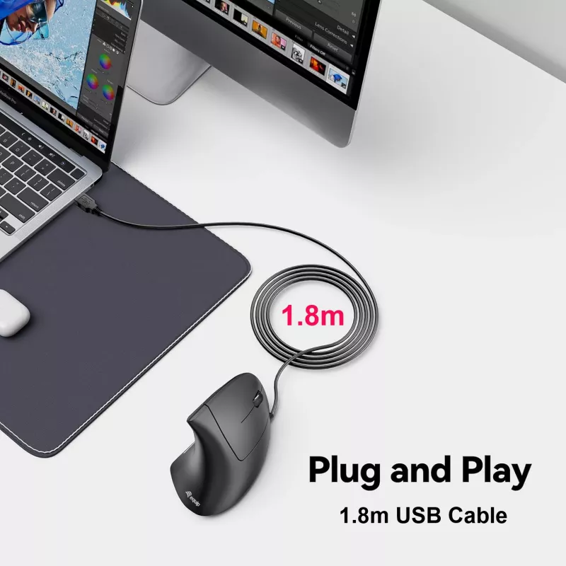 Equip 245118 hiir Universaalne Paremakäeline USB Type-A Optiline 3200 DPI