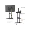 TV-käru EQUIP 37 tolli – 70 tolli Economy 37–70-tollistele ekraanidele, 70 kg kandevõime, VESA 100x100–600x400, kõrgus 1337–1430 mm, kalle -10°–5°, must