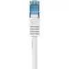 Võrgukaabel Renkforce RF-3829272 20m Cat6a S/FTP