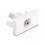 Socket outlet DeLOCK 90848 2 x 3.5mm Male Valge