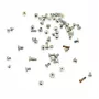CoreParts MSPP73437 mobiiltelefoni varuosa Kruvikomplekt Hõbedane