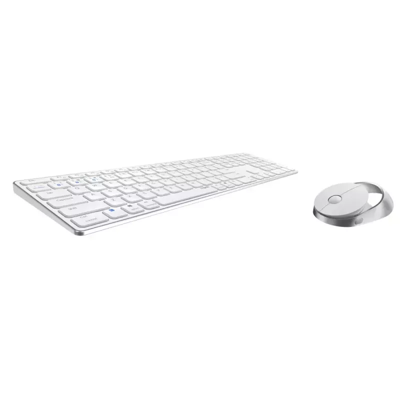 Rapoo 9850M klaviatuur ja hiir komplektis Home RF Wireless Bluetooth QWERTZ saksa valge
