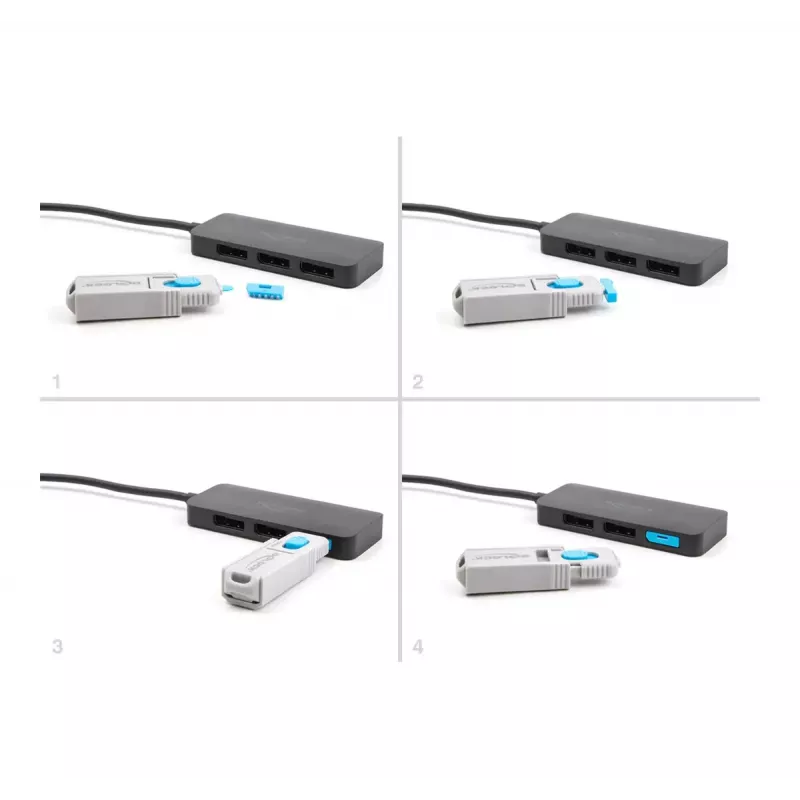 Portblockerija DeLOCK 20951 10 Port Blockeri DisplayPort-pesa sinine