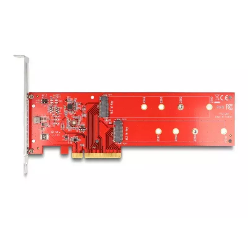 DeLOCK PCI Express x8 kaart kahele sisemisele NVMe M.2 Key M 110 mm bifurkatsiooniga madalprofiil