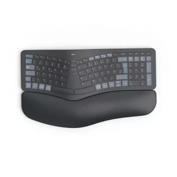 Hama WK-900 Ergo klaviatuur Kodu/Kontor RF traadita + Bluetooth QWERTZ German Must, Sinine, Tumehall