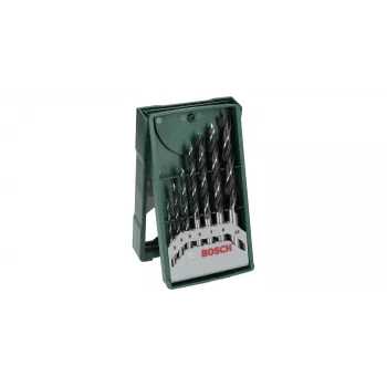 Bosch 2 607 019 580 puuritera