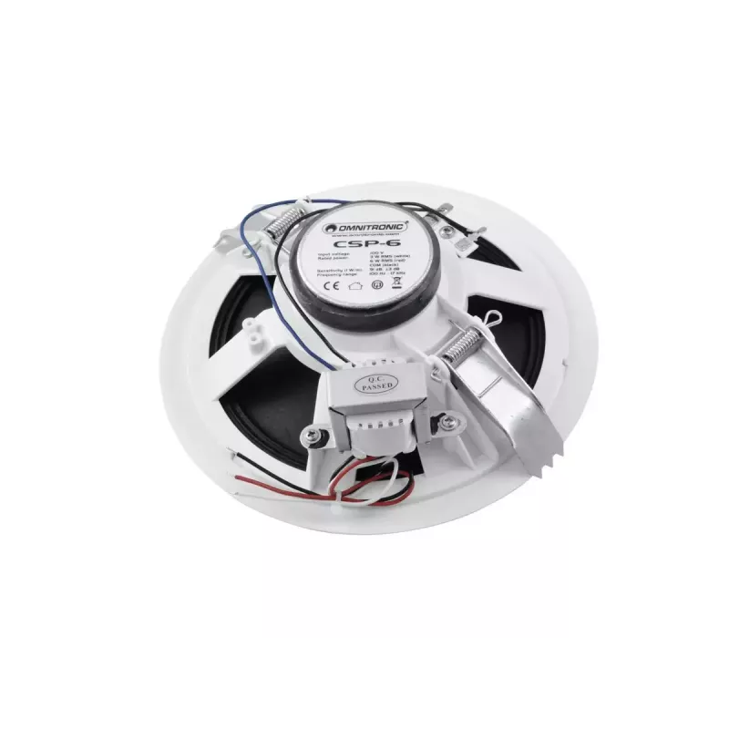 Täissagedusvaljuhääldi Omnitronic 80710250 valge juhtmega 6 W