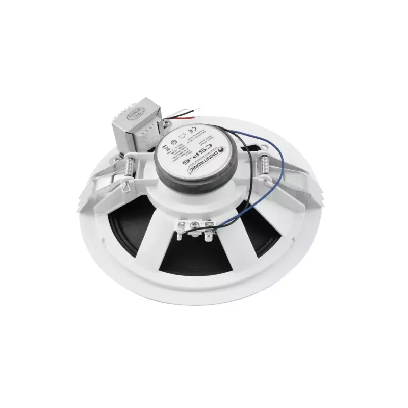 Täissagedusvaljuhääldi Omnitronic 80710250 valge juhtmega 6 W