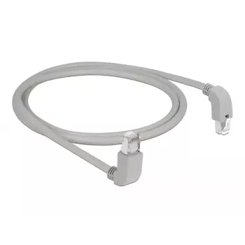 Võrgukaabel DeLOCK 85862 Cat6 S/FTP 1m Hall