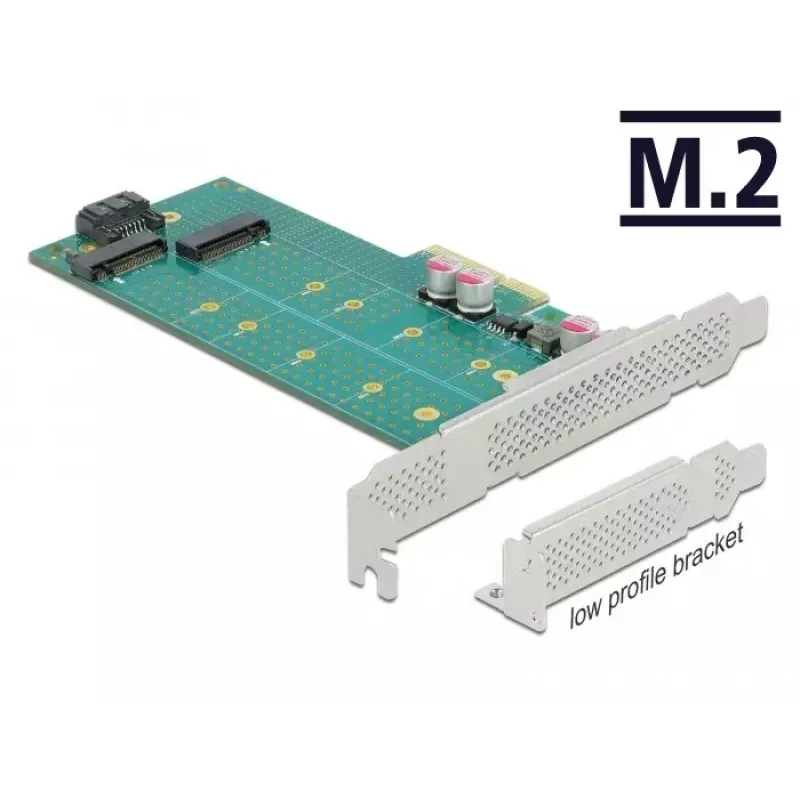 Laienduskaart DeLOCK PCI Express x4 to M.2 Key B + M - Low Profile